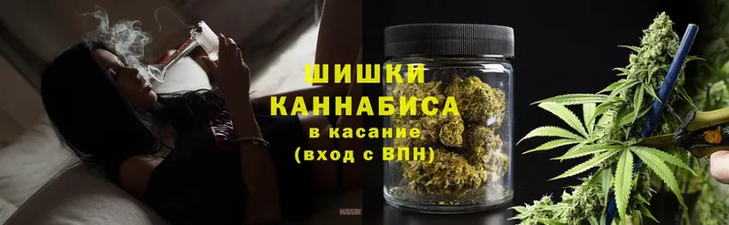 Шишки марихуана White Widow  darknet какой сайт  Губаха 